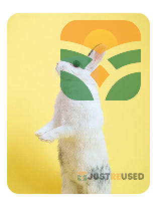 '' RABBIT ARE LAND''