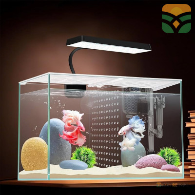 Buy Fish Aquariums Online | Premium Glass Tanks & Aquarium Accessories
