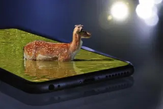 Smartphone Lite, Dakar