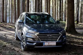 2012 Meridian Crossover، Tripoli