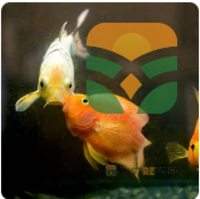 AquaLife Home Fish Aquarium