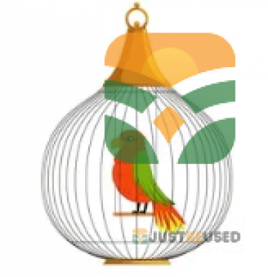 "Large Indoor Bird Cage with Feeding Accessories"