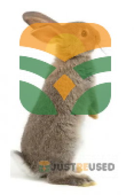 ONLY RABBIT