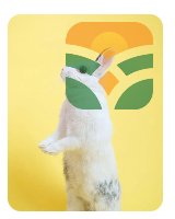 '' RABBIT ARE LAND''