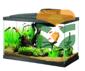 InfinityClear Designer Fish Tank