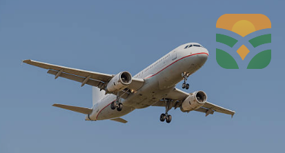 Scale Model Aircraft Replica