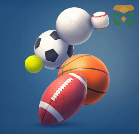 PerformanceHead Sports Headbands