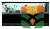 Small Glass Aquarium for Betta & Goldfish
