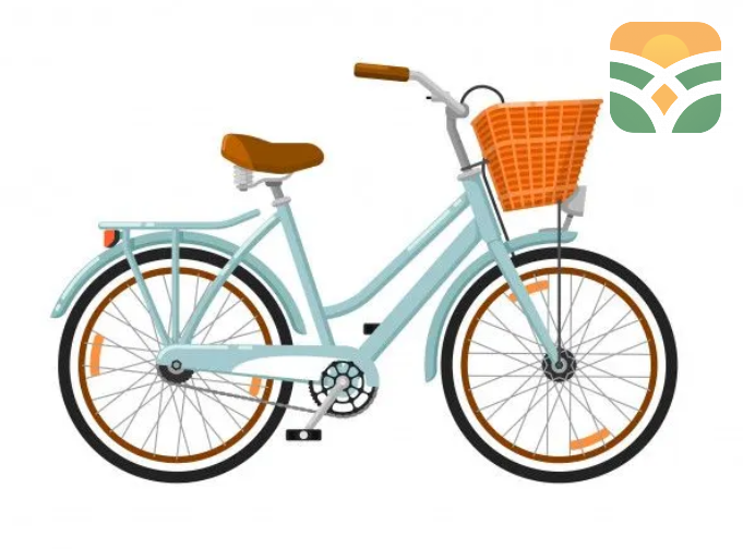 City Bicycle for Daily Commute
