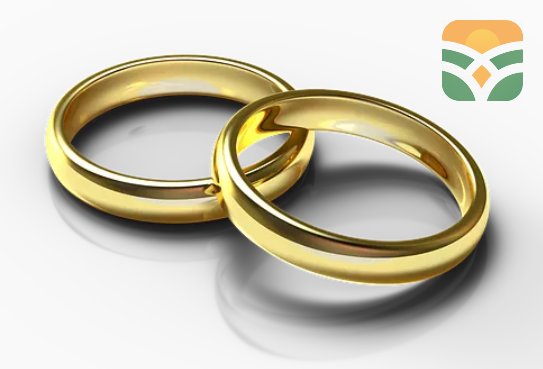 Classic Gold Beauty Jewellery