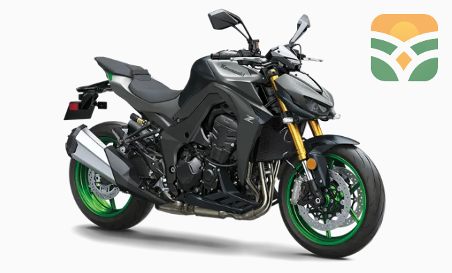 Street Motorcycle with Powerful Engine