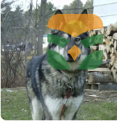 The Joyful Dog