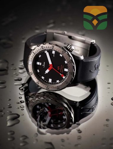 Multi-Function Wrist Watch