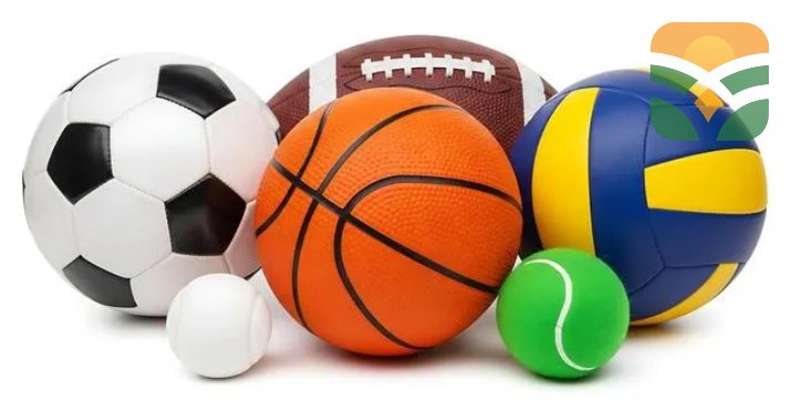 ActivePlay Multi-Sport Equipment