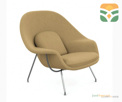 Soft Cushion Padded Chair