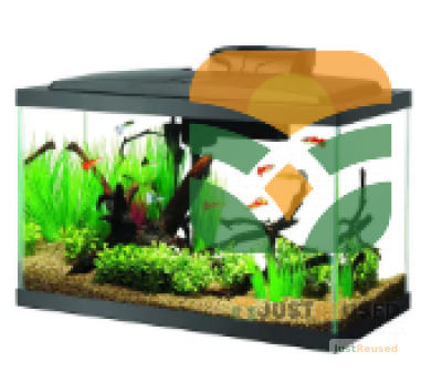 InfinityClear Designer Fish Tank