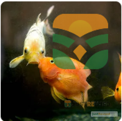 AquaLife Home Fish Aquarium