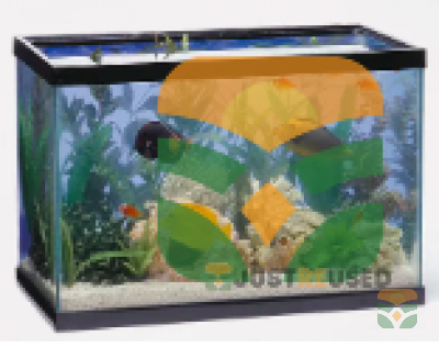 Small Glass Aquarium for Betta & Goldfish