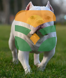 The Fearless Canine