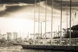 Cabin Cruiser، Muscat - thumbnail 1