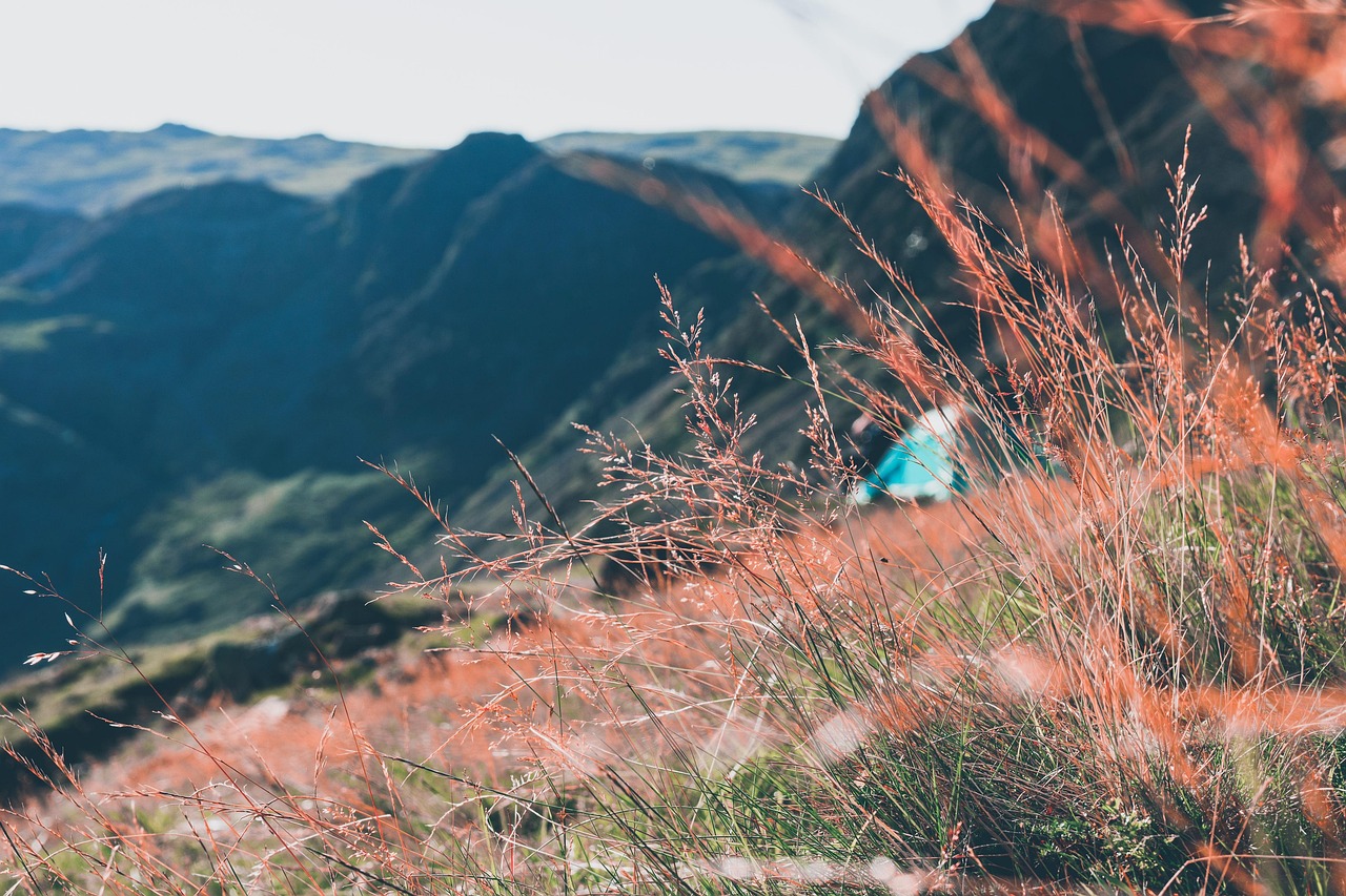 Camping Tent, Naples - photo 1