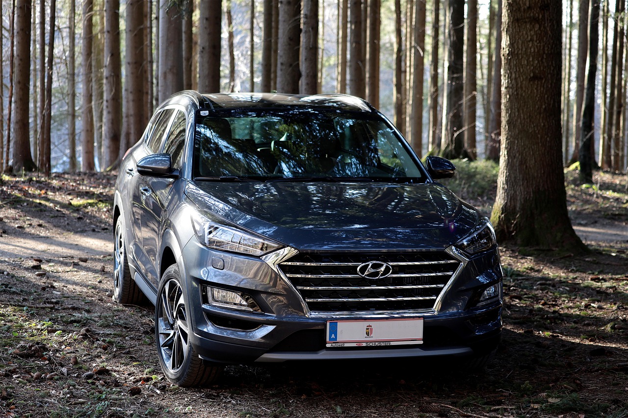 2013 Aurelia Coupe, Madrid - photo 2