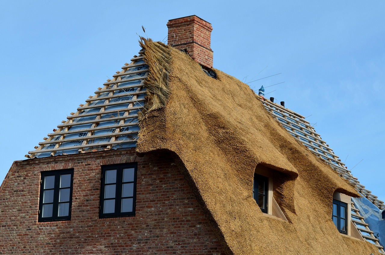 Roof Tiles, Tallinn