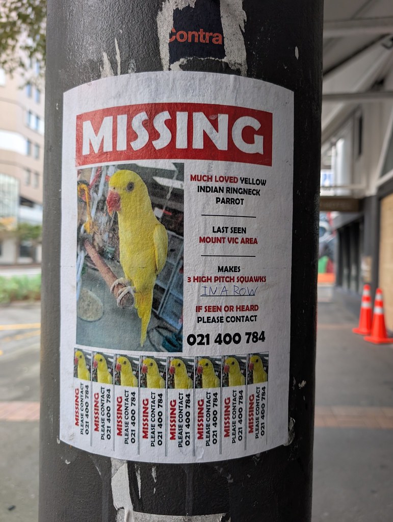 Budgie pair listing, Miami - photo 1