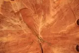 Mirrorless camera kit, Melbourne - thumbnail 1