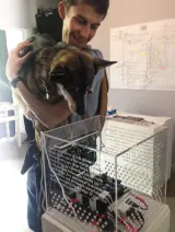 Outdoor dog listing, Milan - thumbnail 2