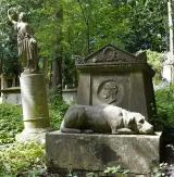 Family dog listing, Madrid - thumbnail 2