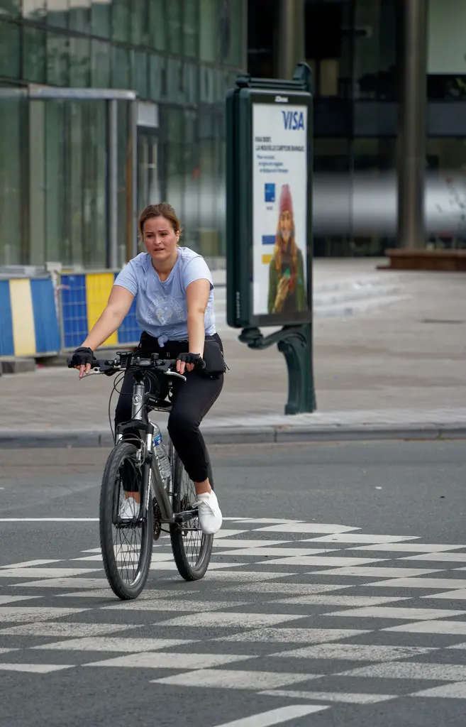 Step through electric bike