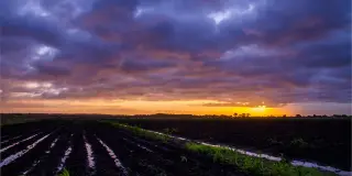 Rural acreage, Dublin
