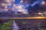 Rural acreage, Jakarta - thumbnail 3