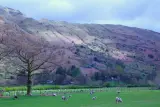 Countryside land parcel, Toronto - thumbnail 1