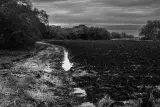 Countryside land parcel, Toronto - thumbnail 2