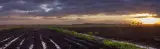 Grazing land near town, Barcelona - thumbnail 1
