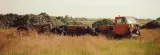 Grazing land near town, Barcelona - thumbnail 2