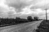 Grazing land near town, Barcelona - thumbnail 3
