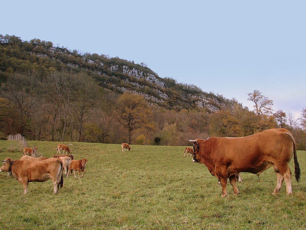 Rural acreage, Nairobi - photo 1