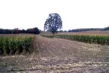 Rural acreage, Nairobi - thumbnail 2