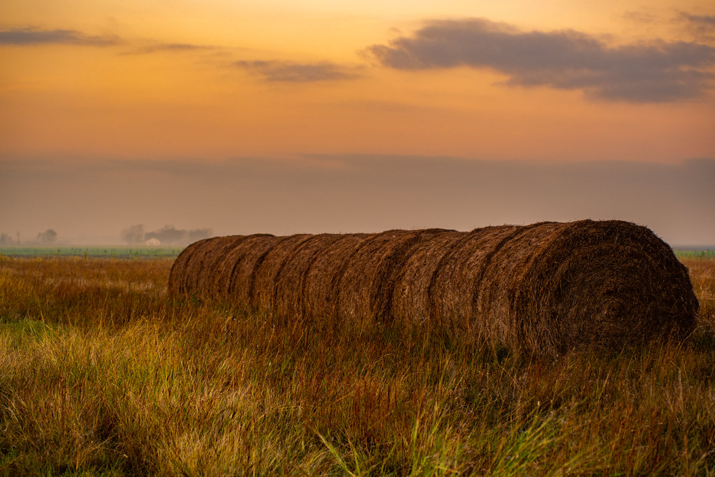 Countryside land parcel, Istanbul - photo 3
