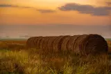 Countryside land parcel, Istanbul - thumbnail 3