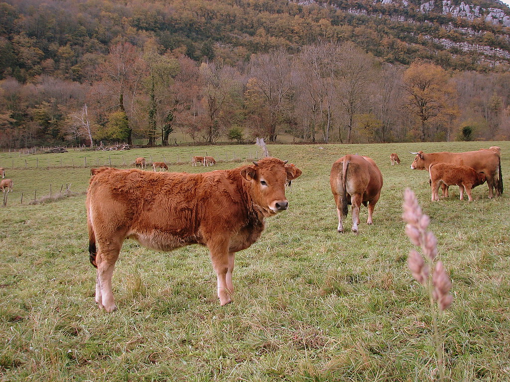 Rural acreage, New York - photo 2