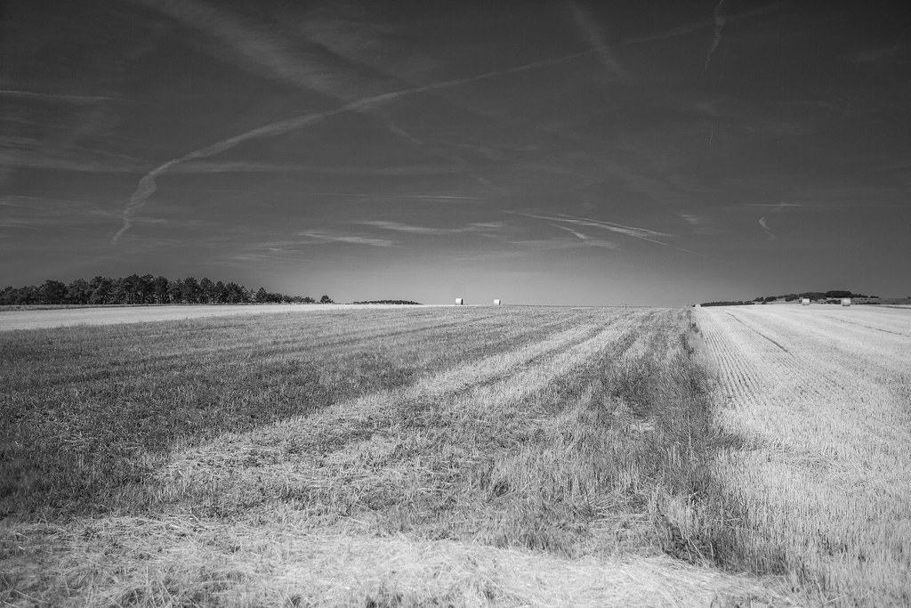 Rural acreage, New York - photo 3