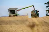 Orchard tractor, Barcelona - thumbnail 1