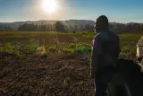 Shanghai Orchard tractor - thumbnail 1