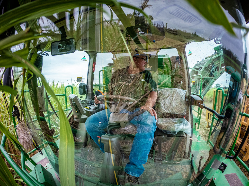 Shanghai Orchard tractor - photo 2