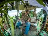 Shanghai Orchard tractor - thumbnail 2