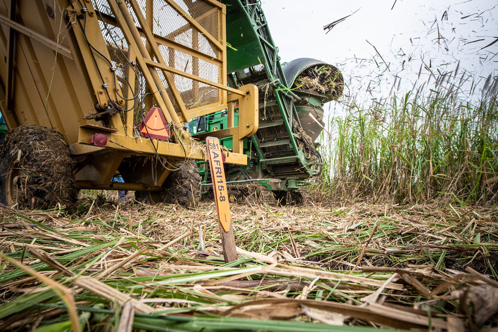 Shanghai Orchard tractor - photo 3